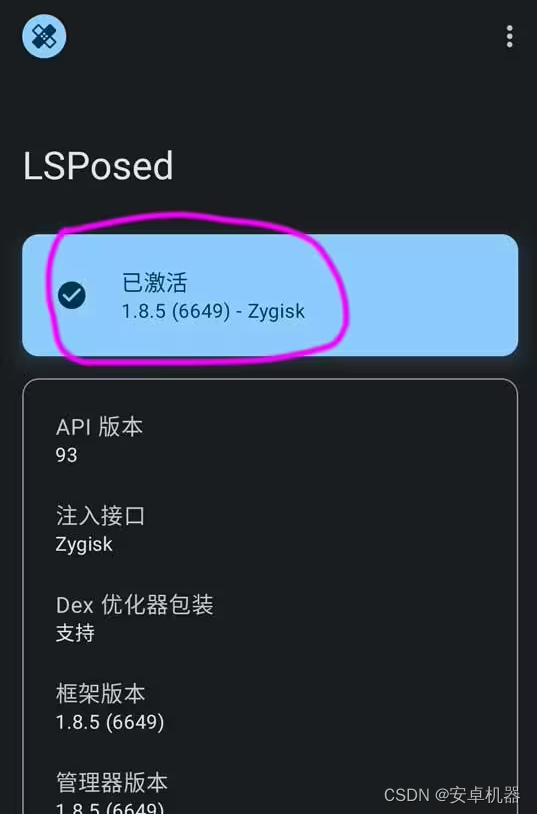 概览页可见注入接口为 Zygisk
